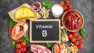 Why Vitamin B is extremely necessary for human health