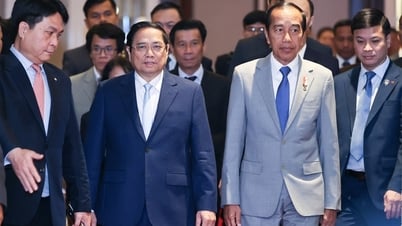 팜민친 총리와 인도네시아 대통령은 양국 기업들에게 협력과 투자를 강화할 것을 촉구했습니다.