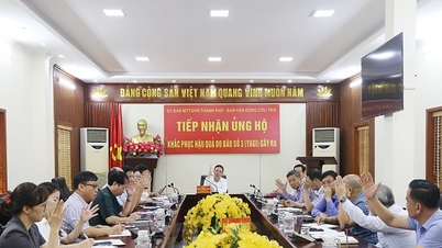 Phân bổ 34 tỷ đồng hỗ trợ người dân khắc phục hậu quả bão