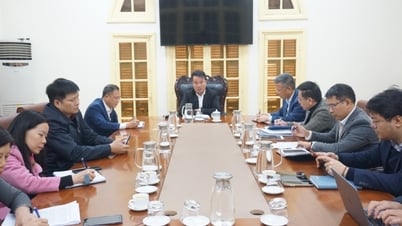 Tăng cường thực hiện nghiêm các quy định của pháp luật về tổ chức thu, giảm nợ BHXH, BHYT, BH thất nghiệp