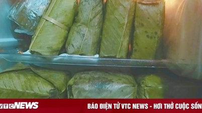 Bánh chưng để tủ lạnh cả tháng có nên ăn?
