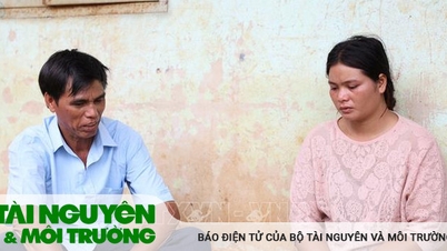 Thêm nhiều đối tượng liên quan ra đầu thú