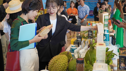 Khánh Hòa: 6 tháng năm 2023, vì sao thương mại, dịch vụ tăng mạnh?