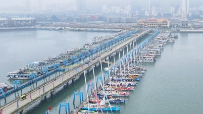 Dừng tăng phí cảng tàu khách ra Hạ Long