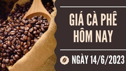 Robusta quay đầu tăng nhẹ