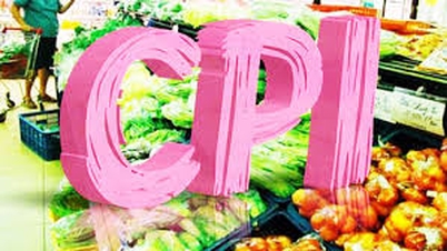 Dự báo CPI tháng 11/2024 tăng 0,15%
