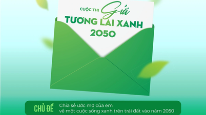 Launching the contest 'Send a green future 2050' - spreading the green message to future generations