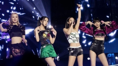 BlackPink giúp cổ phiếu YG đu đỉnh, lợi nhuận tăng gần 500%