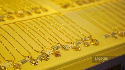 តម្លៃមាស SJC កើនឡើង 500,000 VND/tael