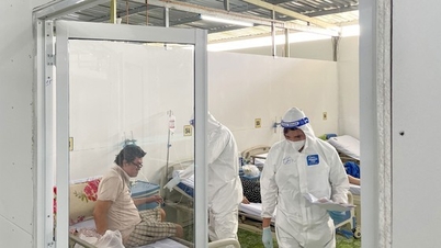 Consider dissolving the last field hospital in Ho Chi Minh City