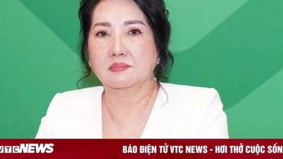 លោកស្រី Nguyen Thi Nhu Loan ត្រូវបានដោះលែងឱ្យនៅក្រៅឃុំ ហើយនឹងក្លាយជាទីប្រឹក្សាប្រតិបត្តិរបស់ Quoc Cuong Gia Lai។
