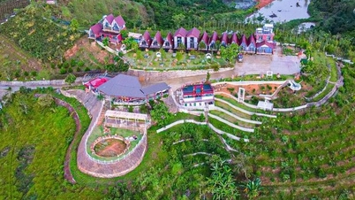 Lam Dong authorizes districts and cities to decide land prices