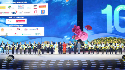 Tập đoàn Xăng dầu Việt Nam đồng hành cùng Festival Hoa Đà Lạt lần thứ X năm 2024