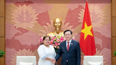 Việt Nam đánh giá cao vai trò của phụ nữ Cuba