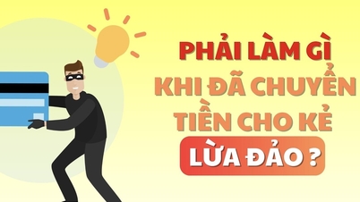 Phải làm gì khi đã chuyển tiền cho kẻ lừa đảo?
