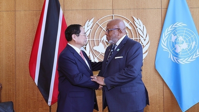 UN official wants Vietnam to share successful model with other countries