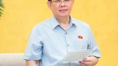 The 25th session has many draft laws that are of interest to voters and people.