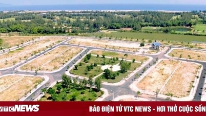 Đầu năm, nhà đầu tư tranh thủ săn đất nền giá rẻ