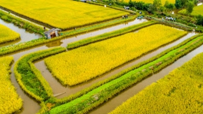 Hội đồng điều phối vùng ĐBSCL phải hành động cụ thể