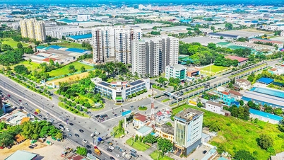 Căn hộ cho thuê tại Bình Dương trở lại đường đua hút dòng tiền đầu tư