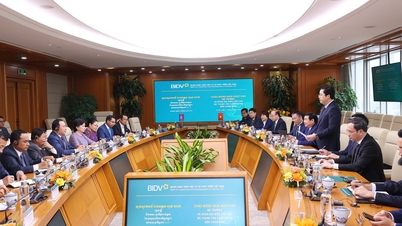 Đoàn Đại biểu cấp cao Bộ Thanh tra Campuchia làm việc tại BIDV