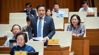Có thể mở rộng sử dụng cát biển để đắp nền cho dự án đường cao tốc