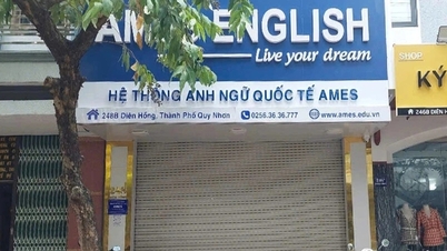 ផ្លុំកញ្ចែលើមជ្ឈមណ្ឌលភាសាបរទេស និង IT ជាបន្តបន្ទាប់ដែលបំពានបទប្បញ្ញត្តិនៅ Binh Dinh