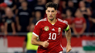 Euro 2024 Score Prediction Calculator: Scotland beats Hungary
