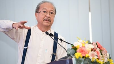 What can Vietnamese rice brands learn from the experiences of Thailand and Japan?
