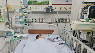 Vì sao dịch tay chân miệng tăng nhanh ở miền Nam?