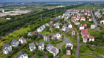 Đối tượng nào được giảm 30% tiền thuê đất năm 2024?