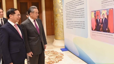 Commemorating an event of great historical significance in Vietnam-EU relations