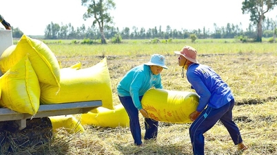 ลดสูงสุด 100-200 VND/kg เพิ่มสูงสุด 50-100 VND/kg