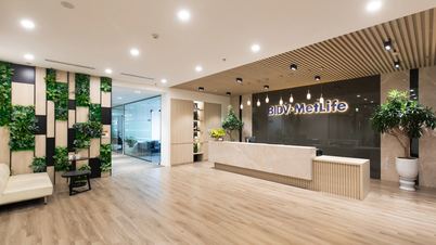 BIDV và Tập đoàn MetLife - hai trụ cột cho BIDV MetLife bứt phá