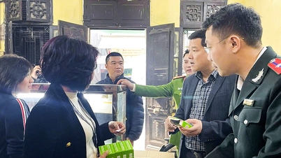 សត្វល្អិត និងលាមកសត្វត្រូវបានរកឃើញនៅតំបន់ផលិតនំអង្ករបៃតង ង្វៀន នីញ