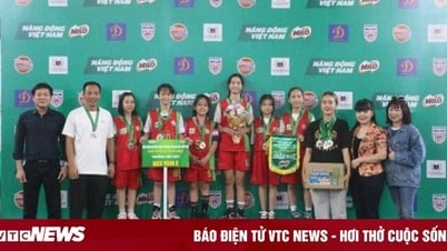 កំណត់ជើងឯក 2 នៃការប្រកួតបាល់បោះសាលាបឋមសិក្សាហាណូយឆ្នាំ 2023
