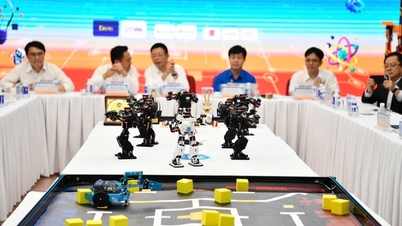 Cuộc thi Vô địch Quốc gia STEM, AI và Robotics 2024 (Vietnam STEM AI Robotics