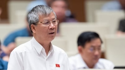 Đề nghị xử nghiêm trường hợp tham ô trong đại dịch, nhưng cần xem xét có lý, có tình với người không vụ lợi