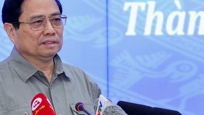 Maximum decentralization and delegation of power to develop Ho Chi Minh City