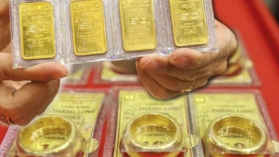 Domestic gold price on the morning of November 25: SJC gold rings and gold bars remain unchanged