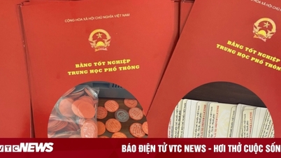 Breaking up an inter-provincial fake degree ring, earning more than 20 billion VND