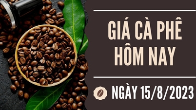 តម្លៃកាហ្វេថ្ងៃនេះ ថ្ងៃទី 15 ខែសីហា៖ អារ៉ាប៊ីកាធ្លាក់ចុះជាង 4%