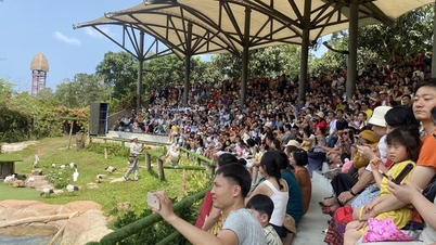Vé máy bay giảm, khách đến Phú Quốc đông trở lại