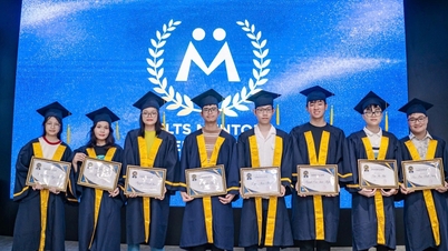 IELTS Mentor's Secret to Rapid Growth: Quality is the Number One Priority