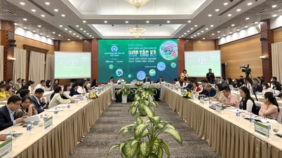 Hợp tác xã phát triển bền vững giúp nông nghiệp thoát khỏi manh mún