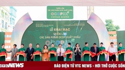 Bắc Kạn tham gia Triển lãm các sản phẩm OCOP xuất khẩu tại Hưng Yên