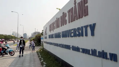 Giảng viên được trả thù lao 360 triệu đồng cho 1 công bố khoa học