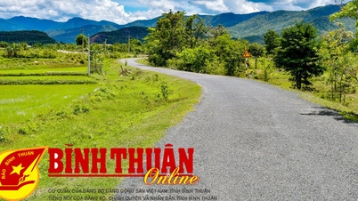 Tiến tới kỷ niệm 40 năm Ngày tái lập huyện Tuy Phong (1/6/1983