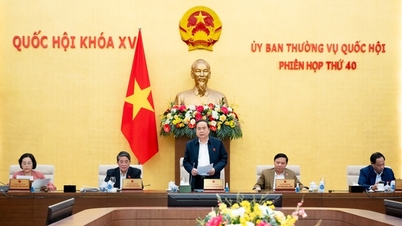 Cho ý kiến về chuẩn bị kỳ họp Quốc hội bất thường lần thứ 9