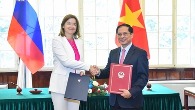 ស្លូវេនី ជំរុញឱ្យ EC ឆាប់ដកកាតលឿង IUU សម្រាប់ផលិតផលគ្រឿងសមុទ្រវៀតណាម